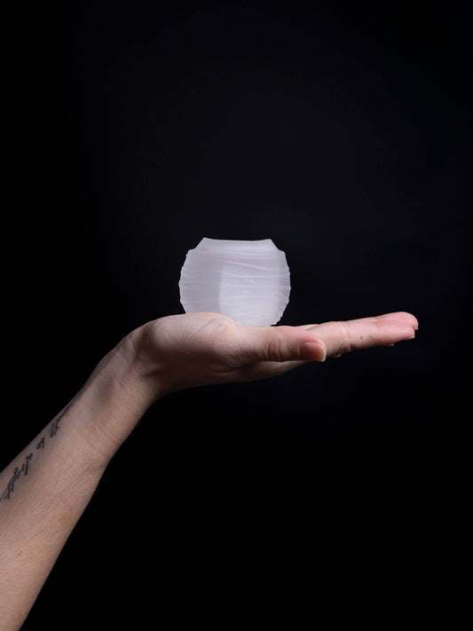 Ace Stroker – Tennis Ball Case Masturbator