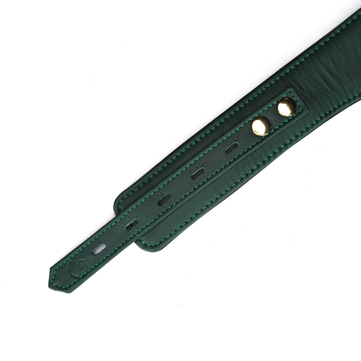 Mossy Chic Leather Bondage Collar with Leash