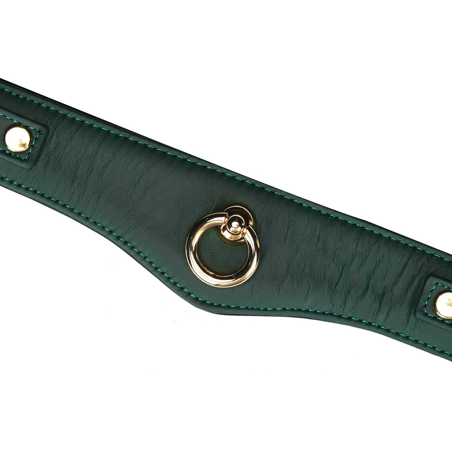 Mossy Chic Leather Bondage Collar with Leash