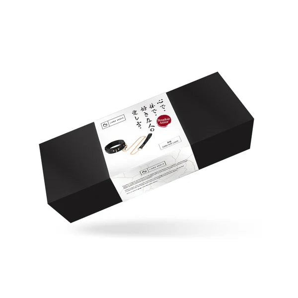 Boudoir Amor: Black Collar with Gold Chain Leash