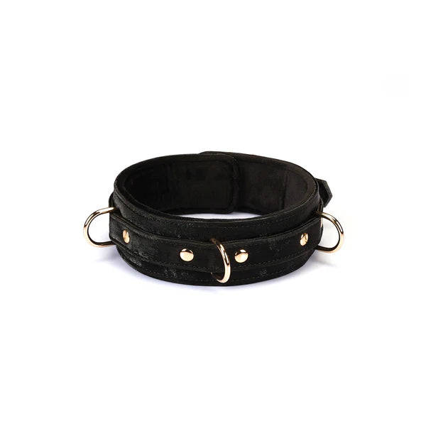 Boudoir Amor: Black Collar with Gold Chain Leash