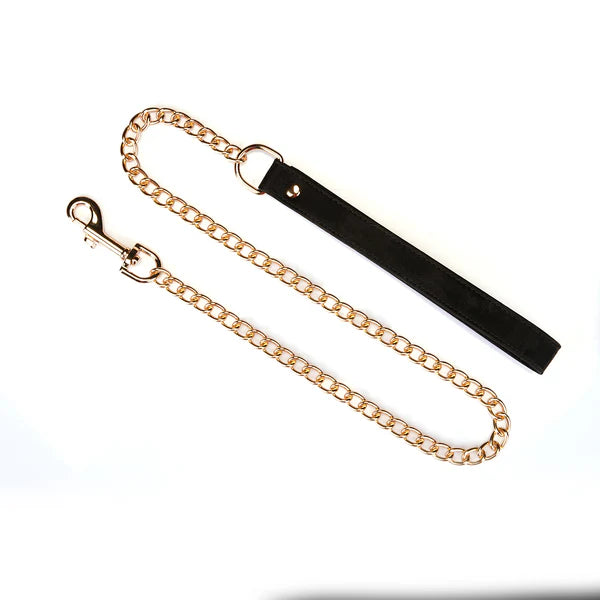 Boudoir Amor: Black Collar with Gold Chain Leash